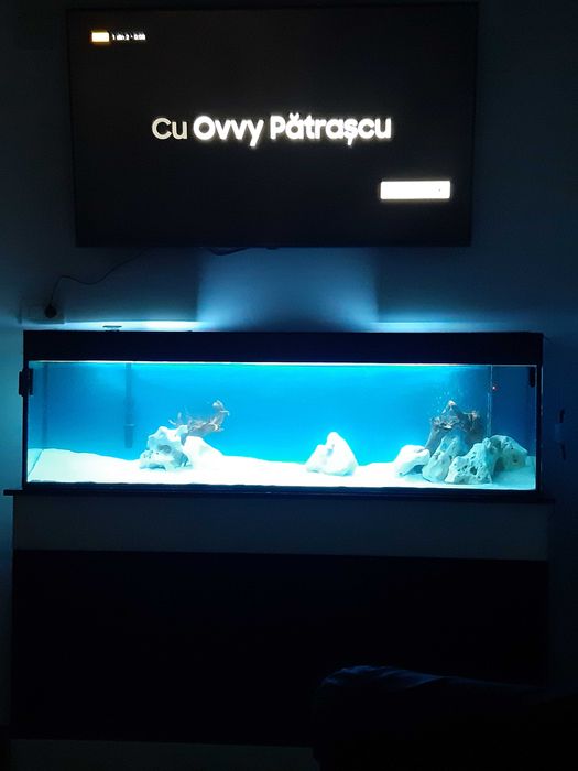 Acvariu 150x30x45 cu stand și toate accesoriile fără pesti.