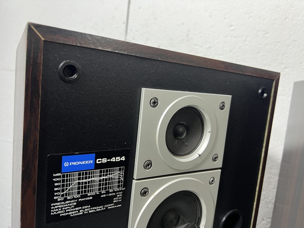 Vand boxe Pioneer CS-454