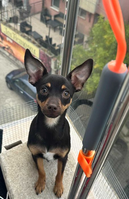 Подарено е вече.