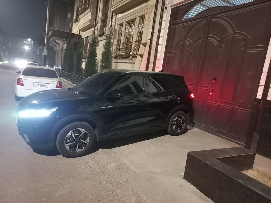 BYD yuan up full 2024 qora