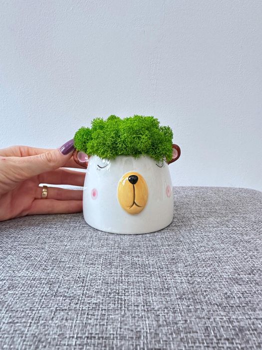 Cadou Figurine animalute licheni stabilizati