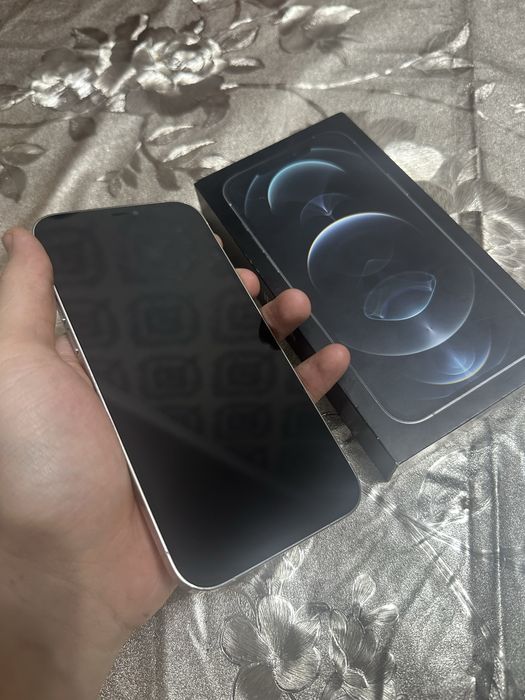 Iphone 12 Pro Max