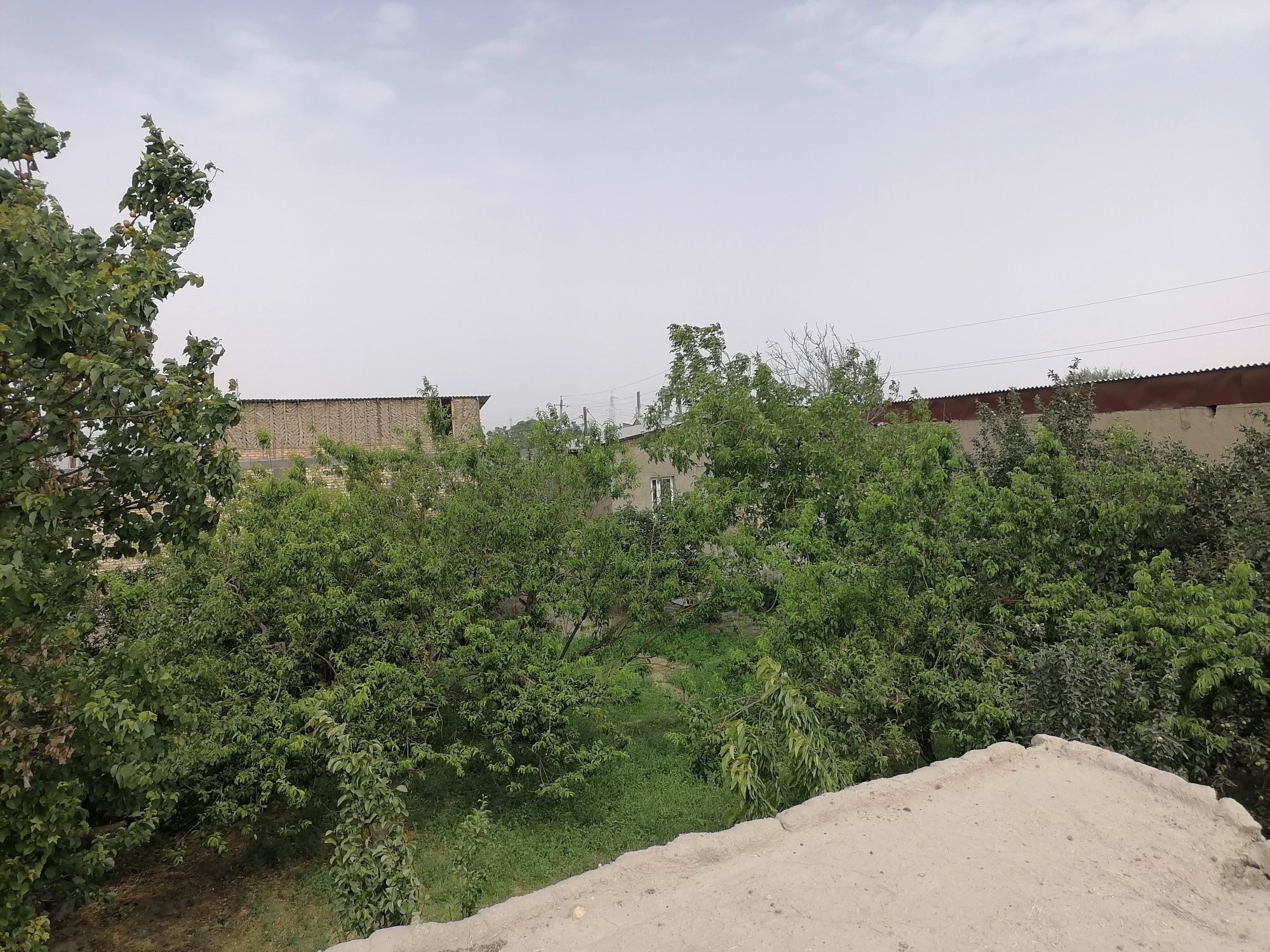 Usatka sotiladi Moshin bozor orqasi