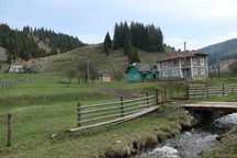 Casa cu teren Dorna Arini, Ortoaia
