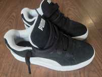 Puma barbati  43