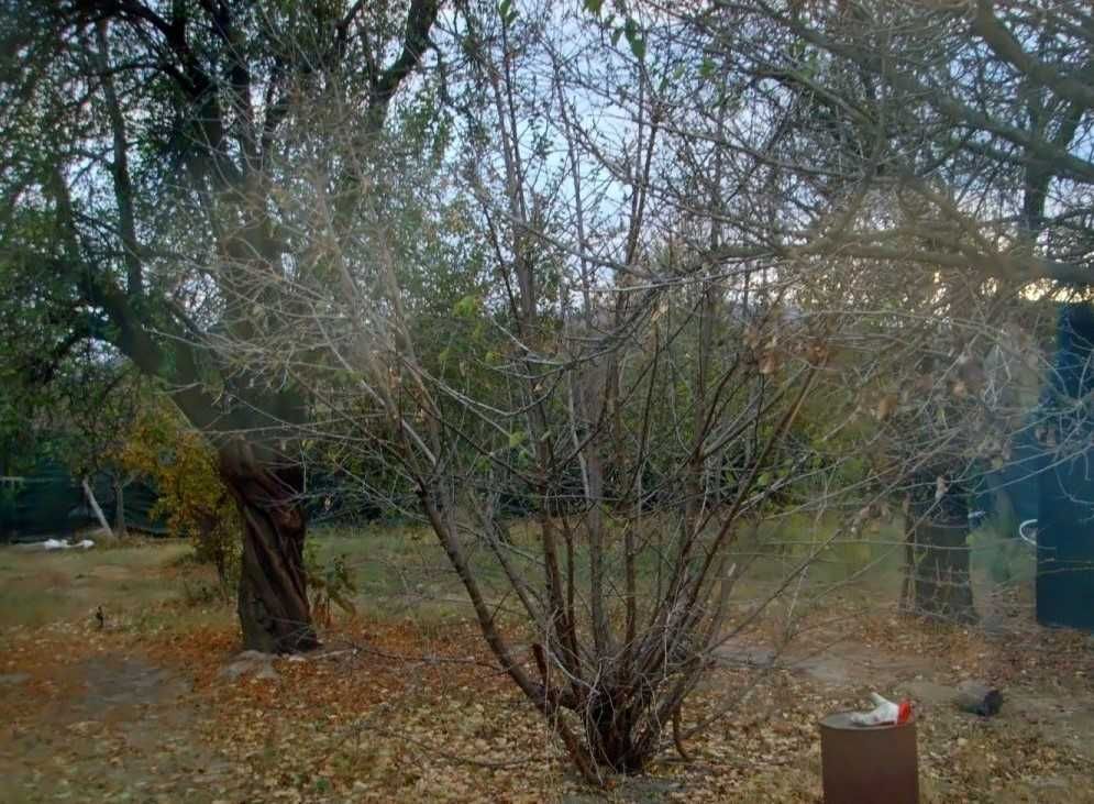 Продава се Парцел в с. Каравелово, Област Пловдив - 590 кв.м за 17 €/кв.м - Снимка #6