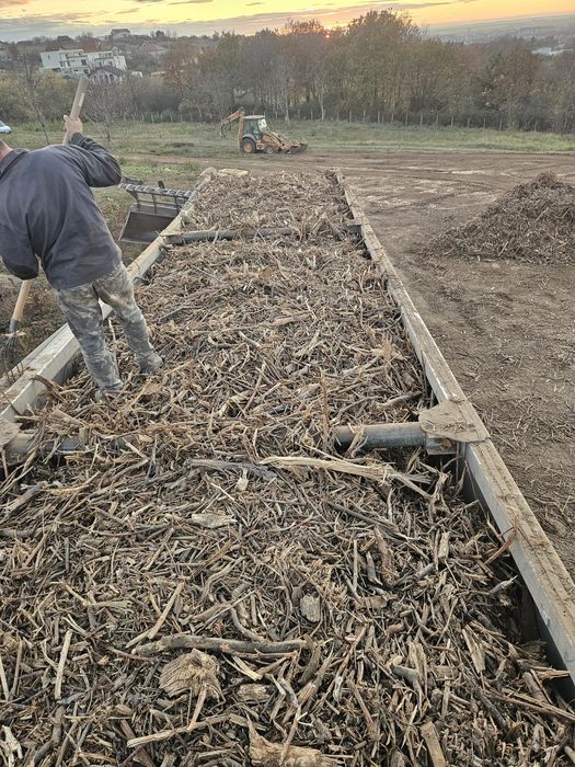 Tocatura material lemnos