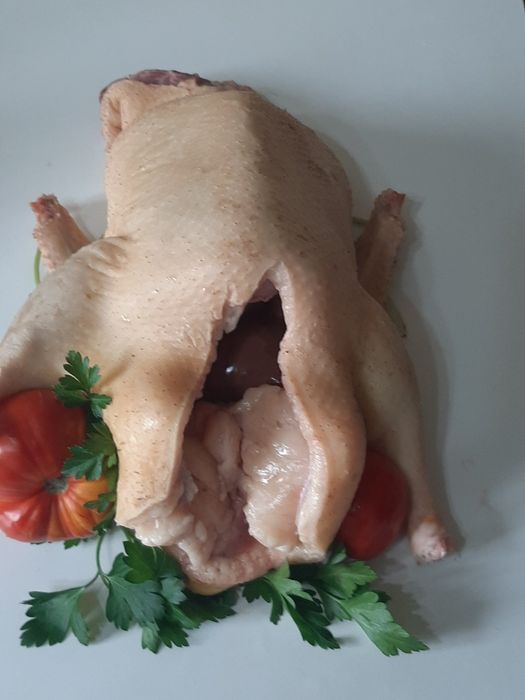 Мясо молодой домашней утки.