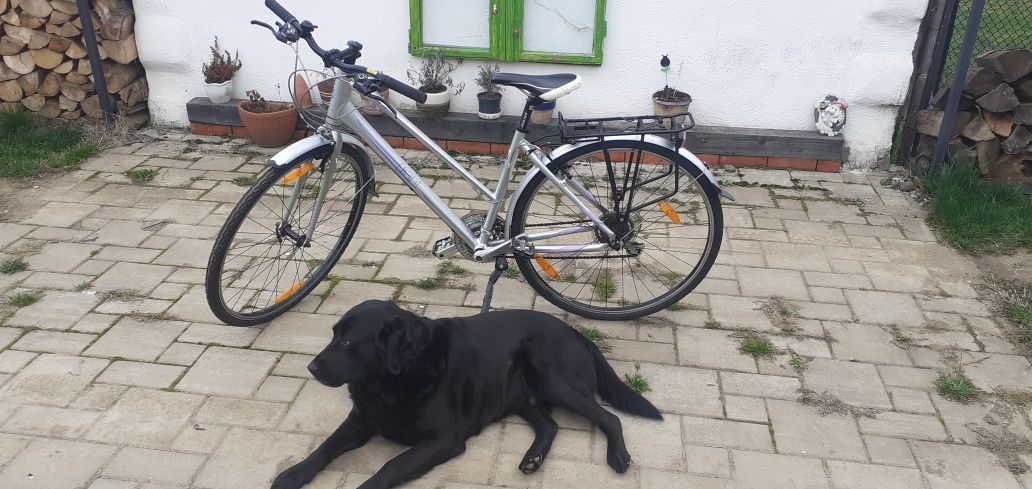 Bicicleta pentru fete sau dama marca Giant cadru aluminiu