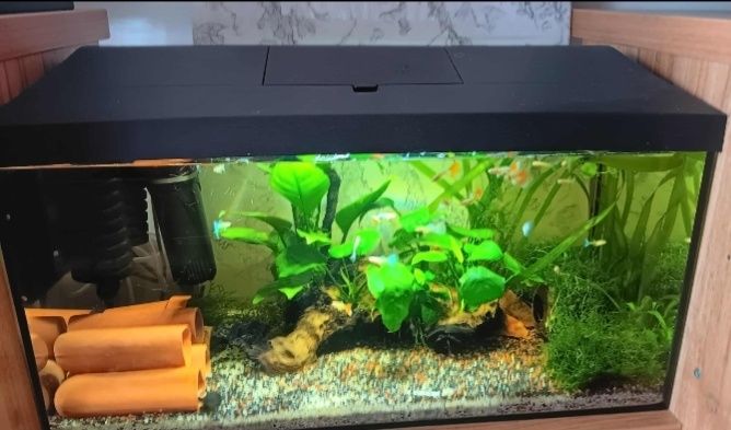 De vânzare acvariu de la AQUAEL echipat cu tot acvariul este de 60×30×