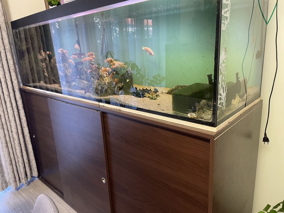 Acvariu 900 L de vanzare filtru extern inclus