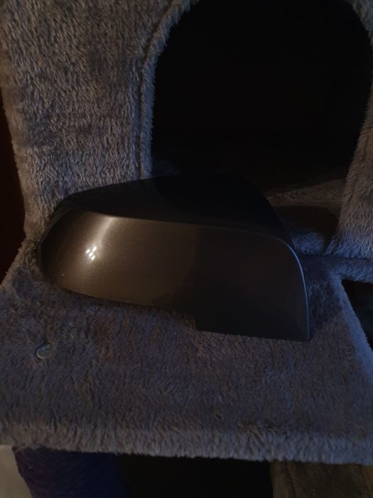 Capace oglinzi BMW F30