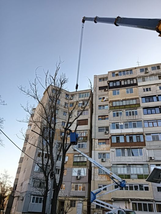 Tăiere/Fasonare/Doborâre Arbori Foarte Periculoși.