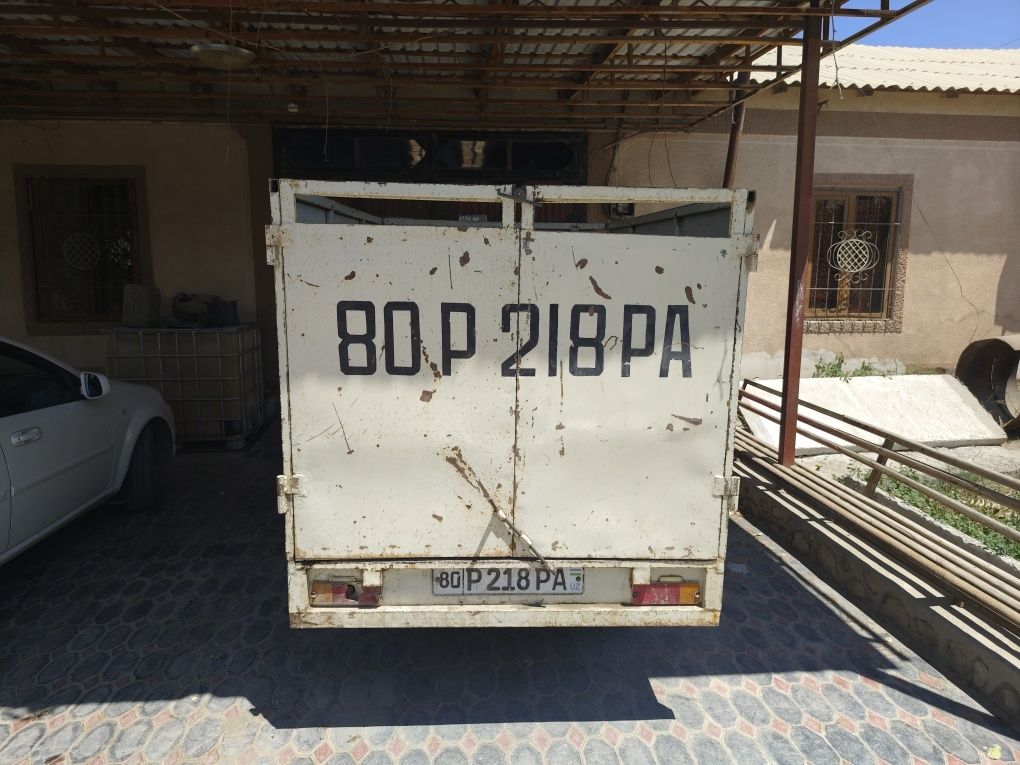 Damas labo xolati ideal