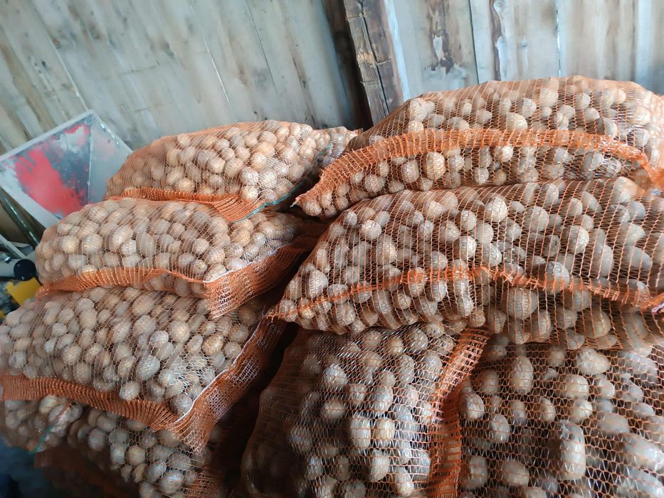 Cartofi Carrera-ultra consum și animale