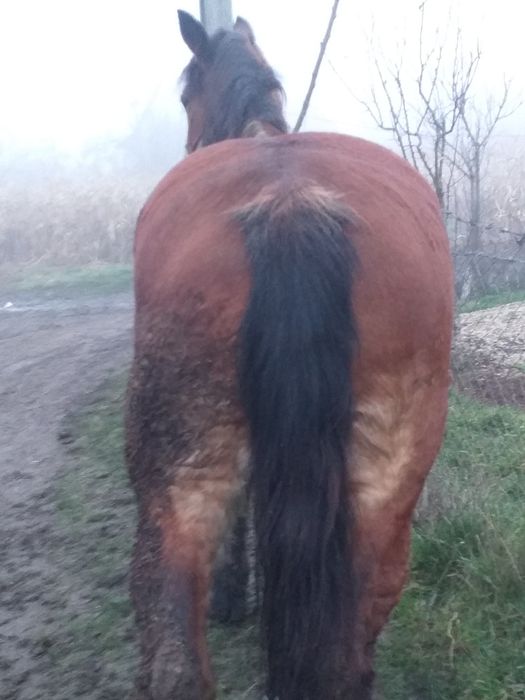 Iapa de vanzare foarte blândă