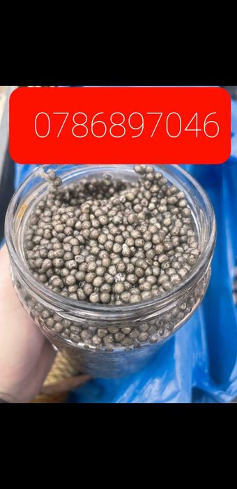 Icre negre si icre rosii - Delicatese