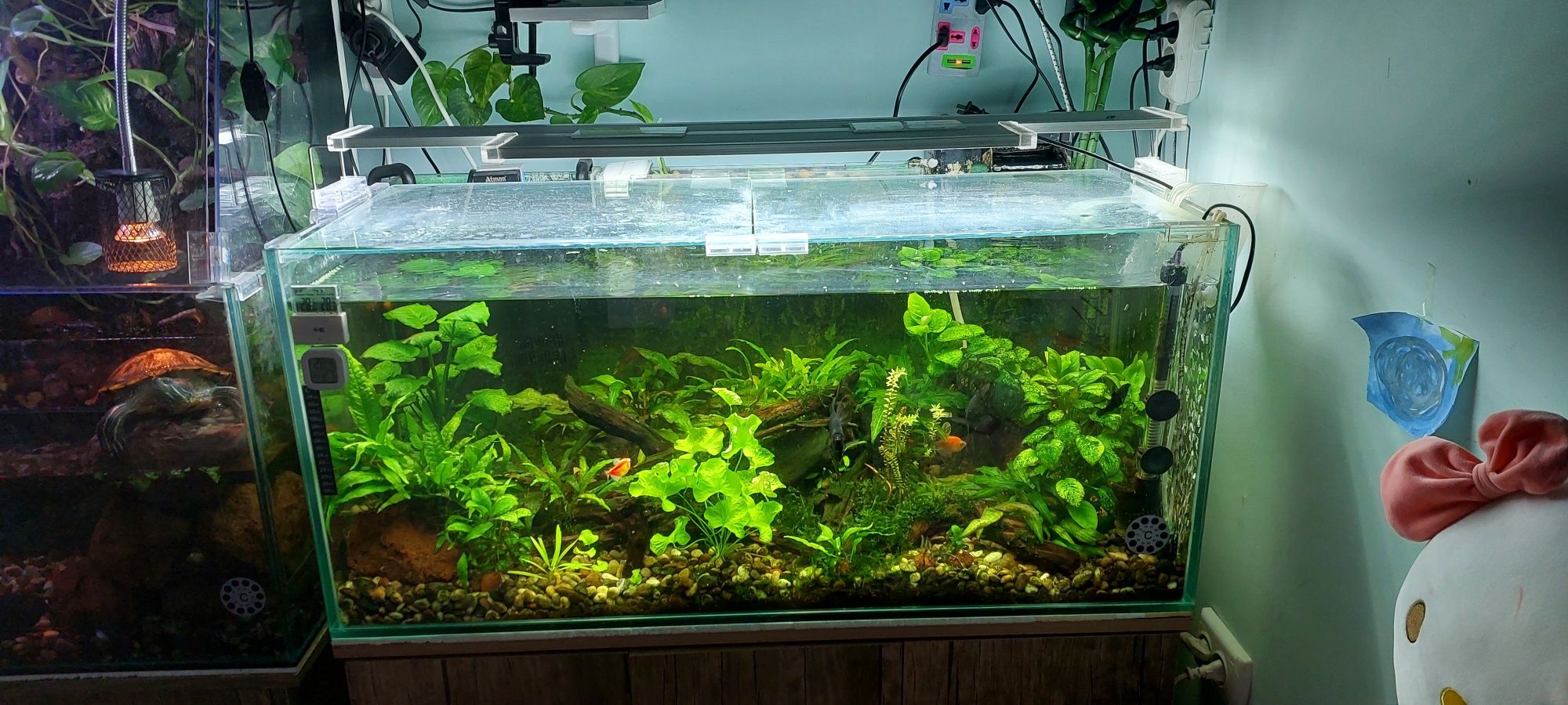 Akvarium sotiladi.