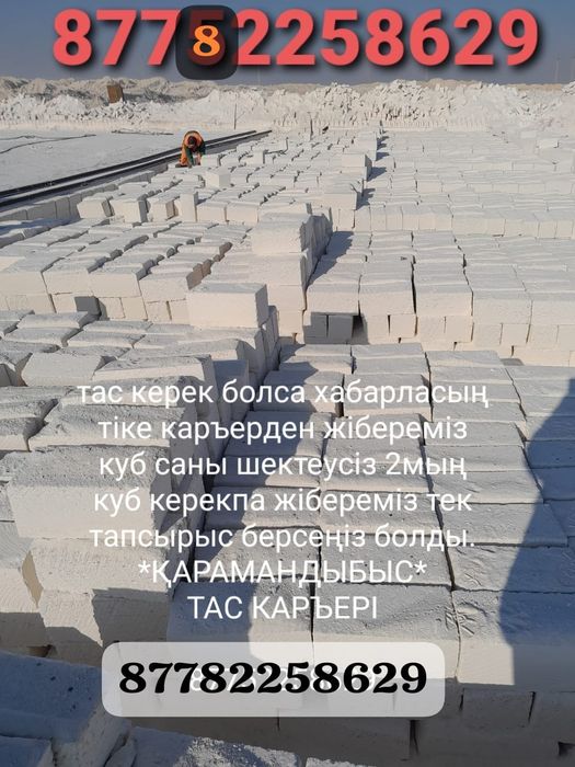 Тас камень ракушка