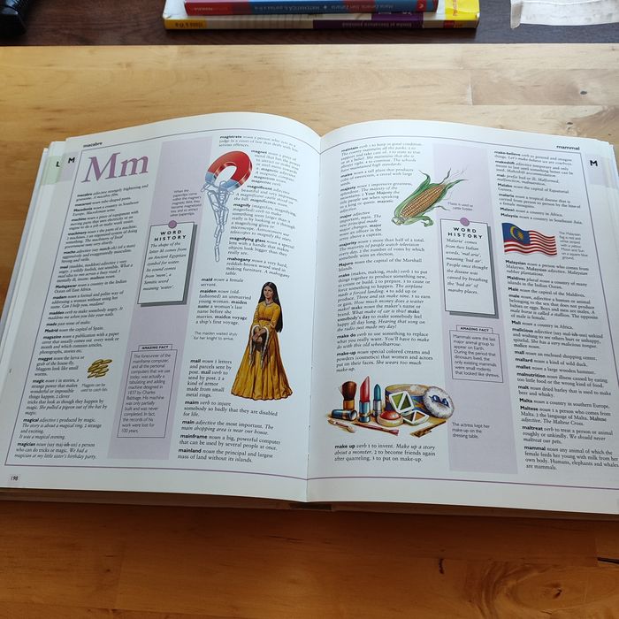 Dicționar ilustrat Engleza