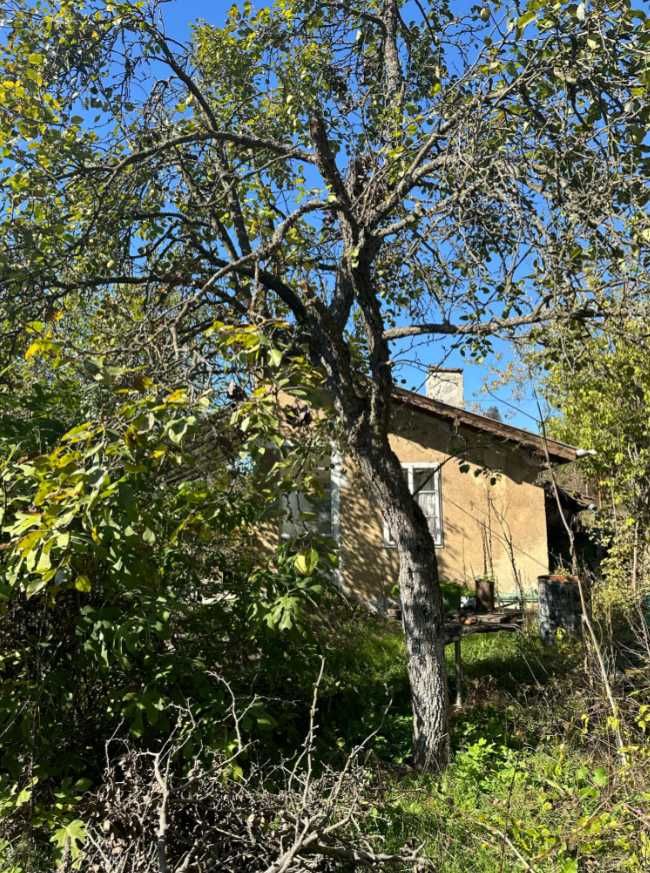 Продава се Къща в с. Владо Тричков, Област София-област - 24 кв.м за 1584 €/кв.м - Снимка #6