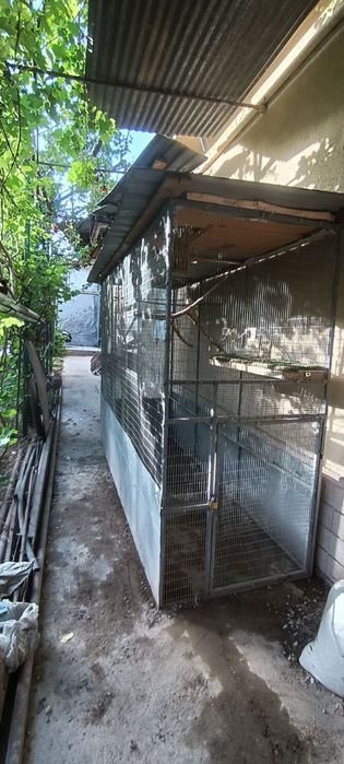 Qafas sotiladi valer