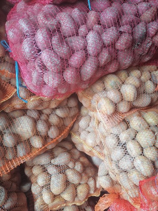 Cartofi pentru animale!!!