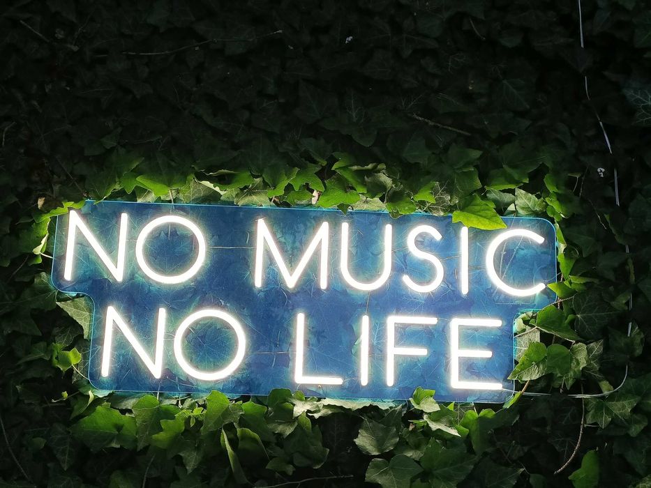 Reclam luminoasa Neon sign LED