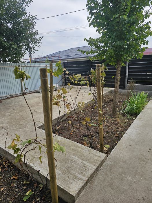 Vand casa in Aroneanu