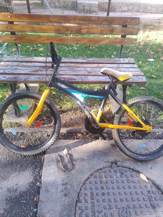 Bicicleta pentru copii