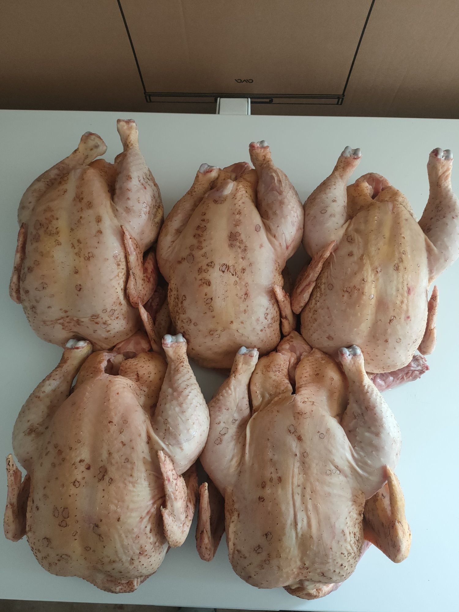 Продаются мясо домашнего бройлерного цыплёнка.