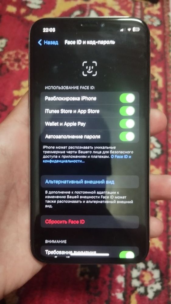 iPhone X  radnoy