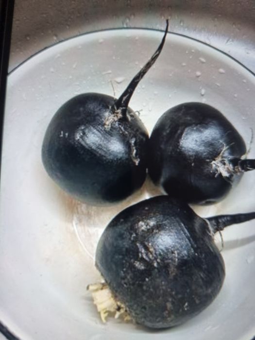 Продам чёрную редьку  с огорода  ,по 2 тыс за кг