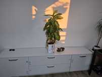 Comoda living tv
