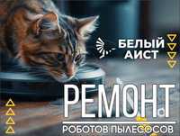 Ремонт роботов пылесосов. Гарантия!