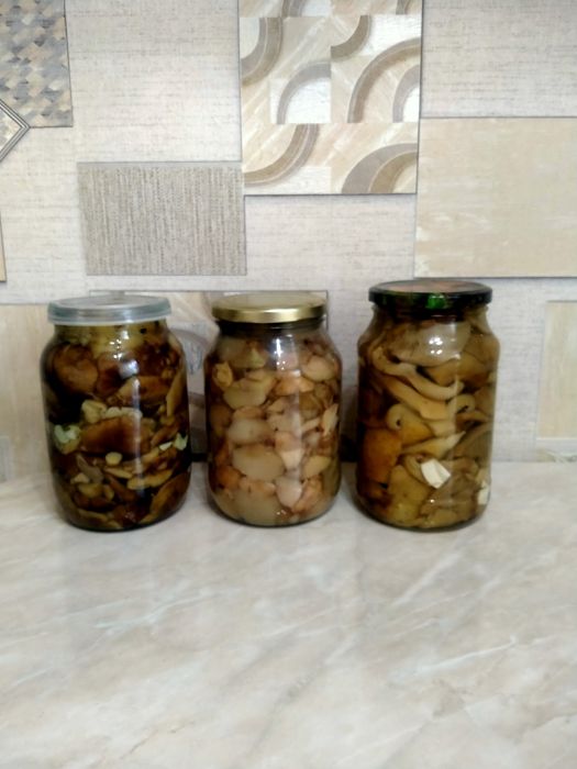 Маринованные грибы