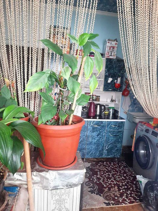 Продаётся квартира Юнусабад10 1 ком 44 м2 балкон 2х6