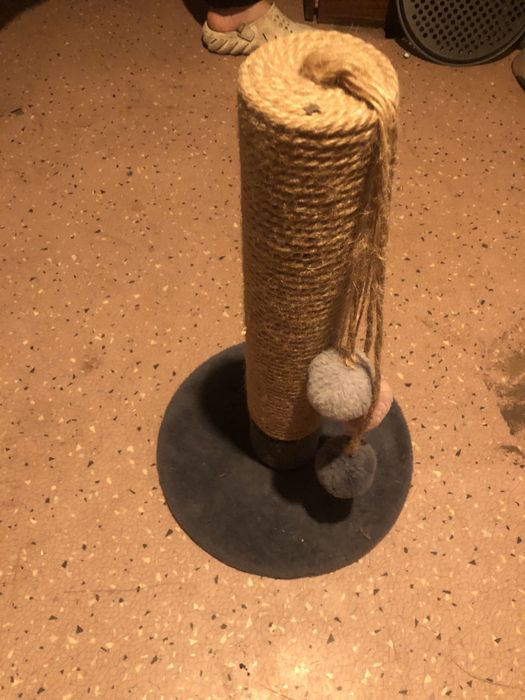 Коктиточка для кошек