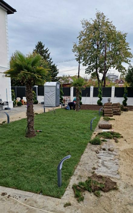 Amenajăm grădini multe specii