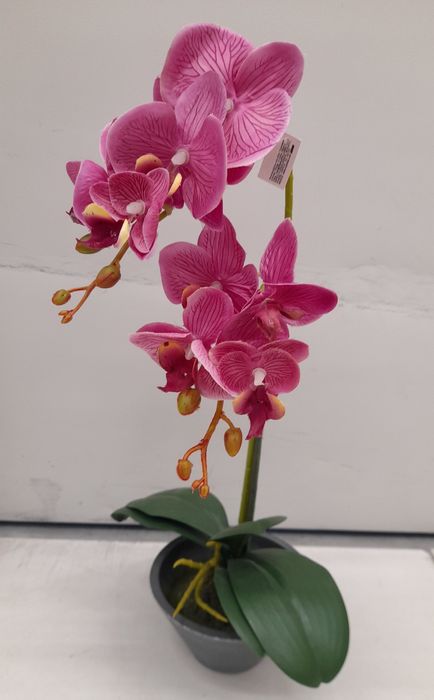 Orhidee roz, decorațiune artificială