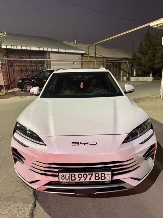 Bvd song plyus chempion