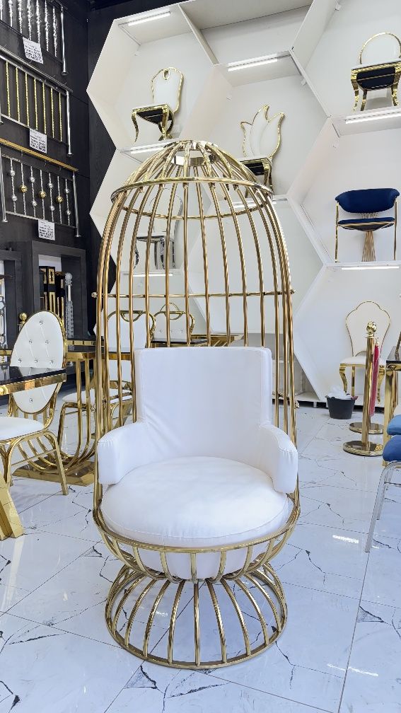 Stullar Gold | Glavniy Dizayn