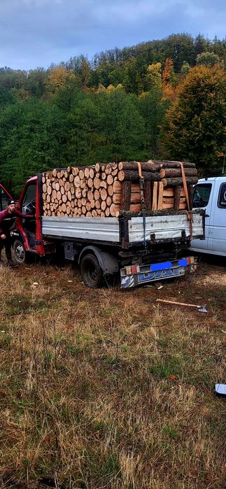 Vând lemn de foc exență tare transport gratuit ori  unde in țară