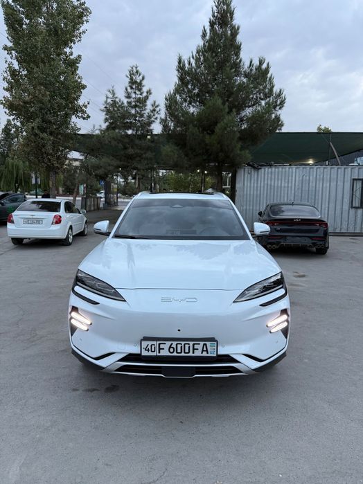 BYD Champion сотилади