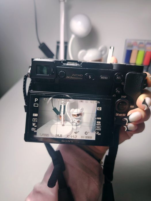 Aparat foto Mirrorless Sony A6000