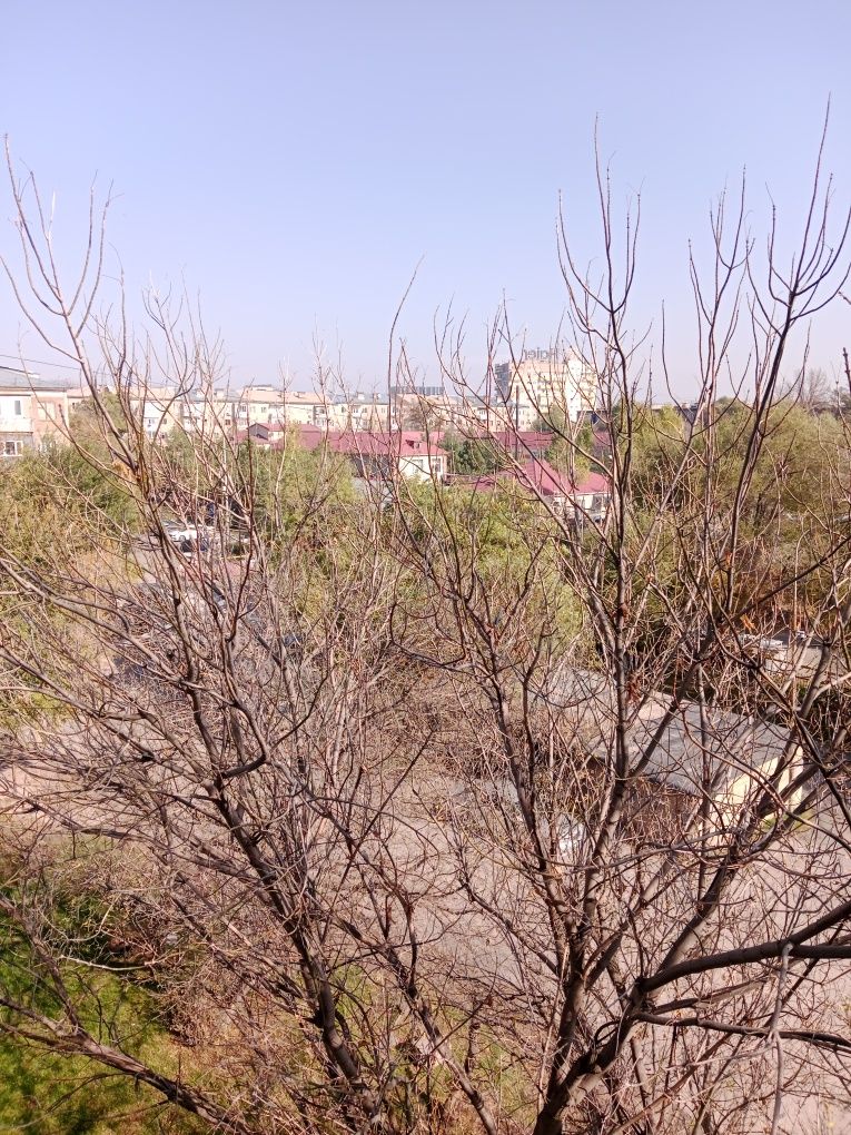 Продам 2 ком Центр города