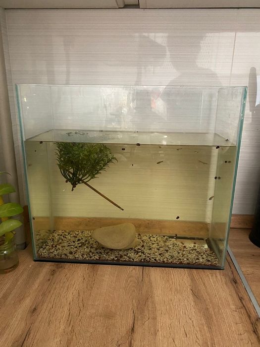 Аквариум сатылады