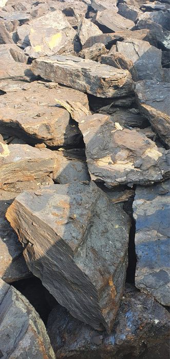 Aduc lCărbuni Lighnit vrac