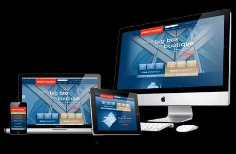Campanii Publicitare Online: Google, FB. Webdesign, Creare pagini Web
