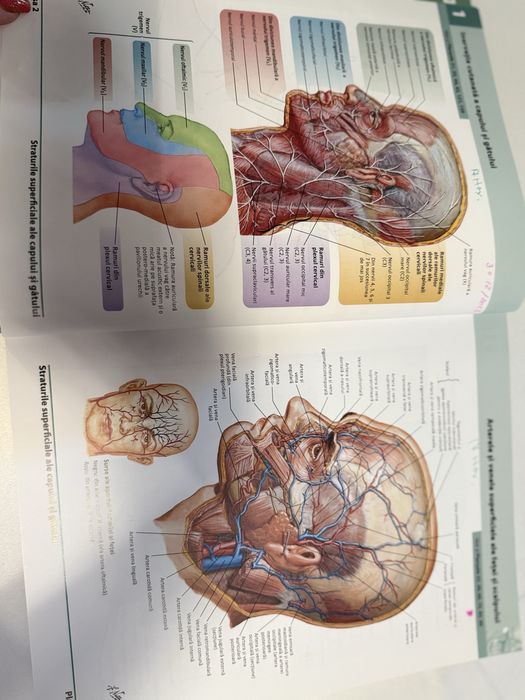 Vând Atlas de Anatomie a Omului
